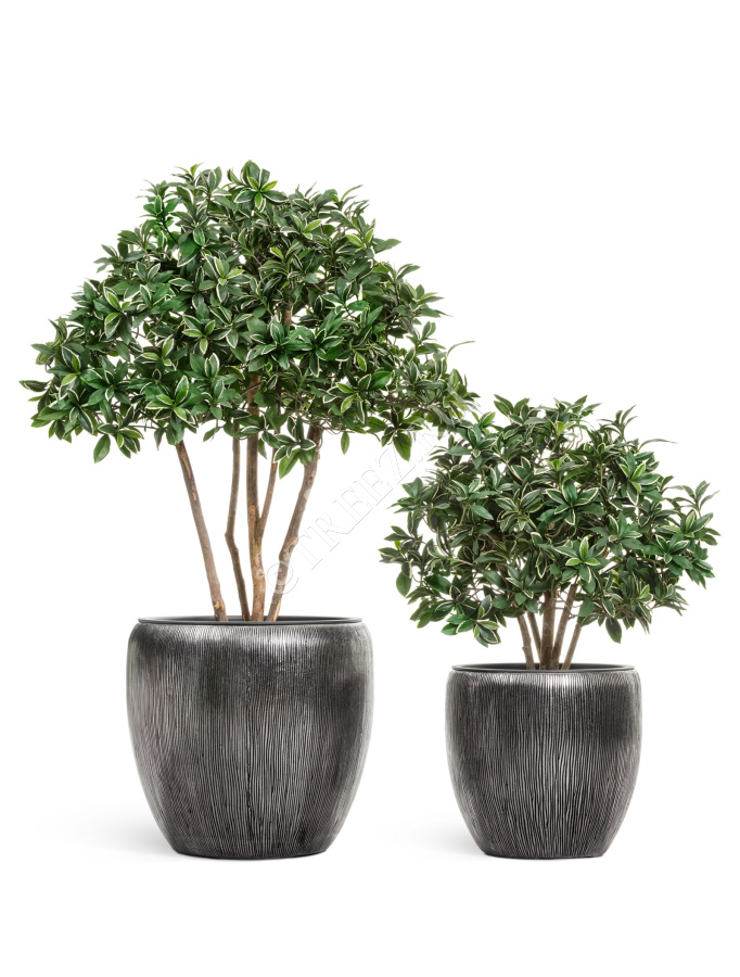 Кашпо TREEZ Effectory - Wow - Конус-Чаша - Стальное серебро фото