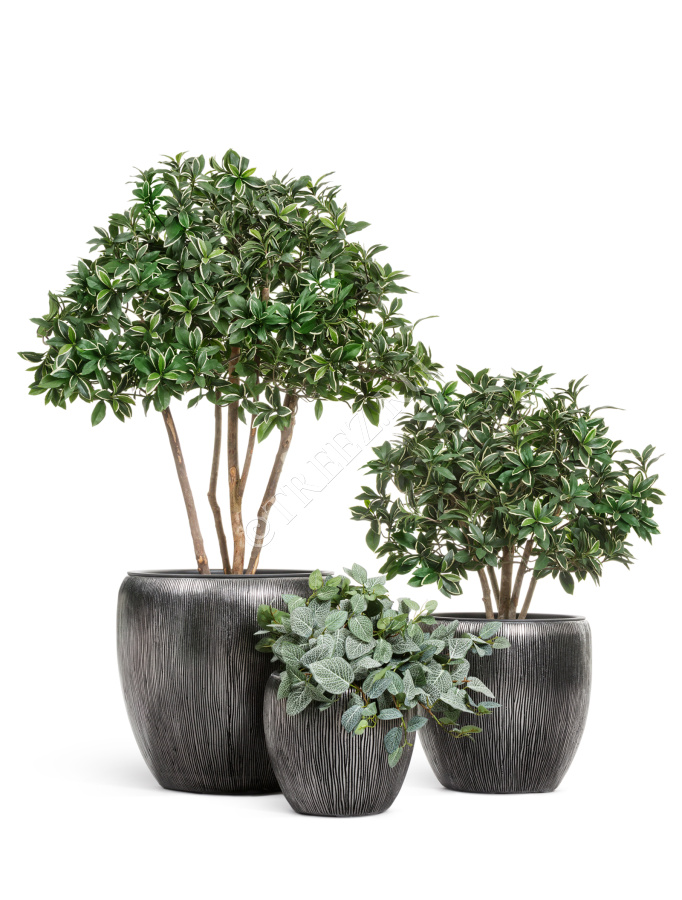 Кашпо TREEZ Effectory - Wow - Конус-Чаша - Стальное серебро фото