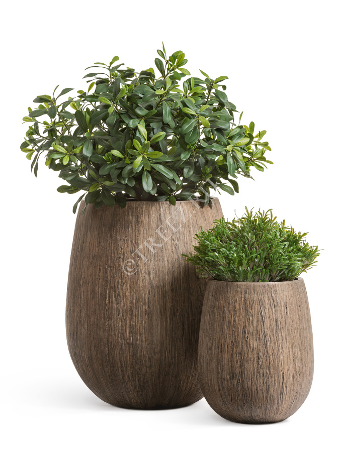 Кашпо TREEZ Effectory - Wood - Округлая чаша - Светлый дуб фото