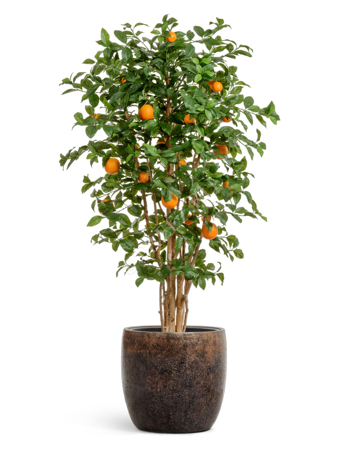 Кашпо TREEZ Effectory - Metal - Конус-чаша - Rough с золотой патиной фото