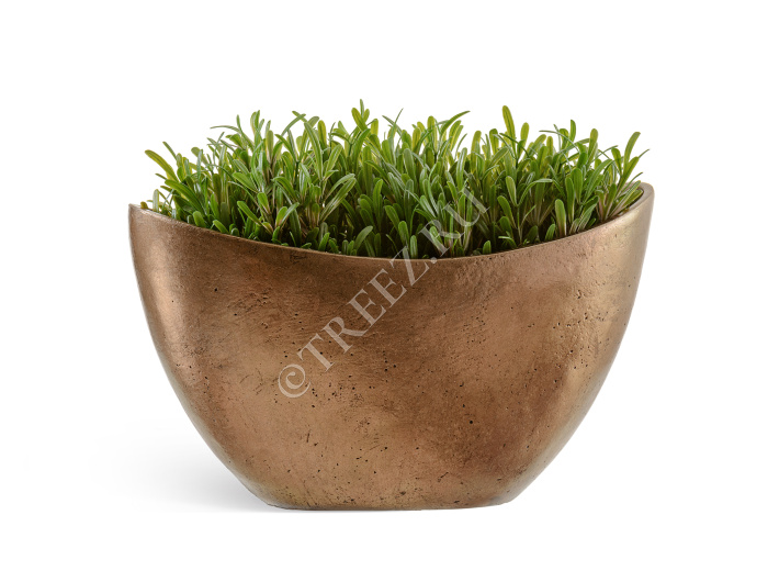 Кашпо TREEZ Effectory - Metal - Ваза-Лодка малая - Тёмное-матовое золото фото