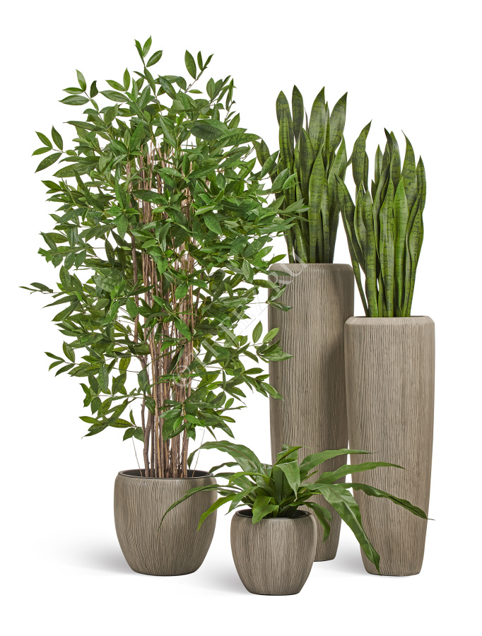 Кашпо TREEZ Effectory - Wow - Высокий конус Design - Капучино фото