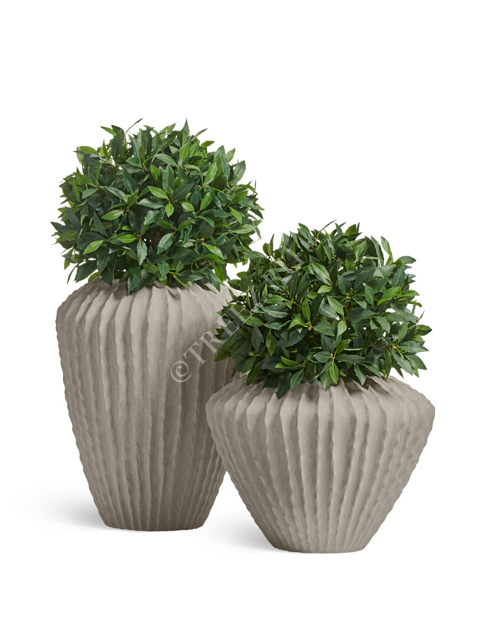 Сет № 32 - Композиция с Лаврами в кашпо Treez Effectory Moho фото