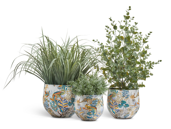 Сет № 50 - Композиция с Эвкалиптом и Лемонграссом в кашпо Treez Effectory Savage Garden фото