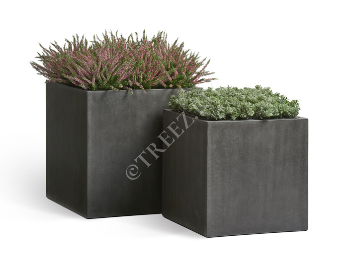 Сет № 81 - Композиция в кубических кашпо Treez Effectory Beton фото