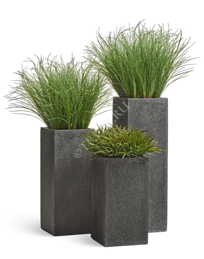 Сет № 84 - Композиция с травой в кашпо Treez Effectory Stone фото