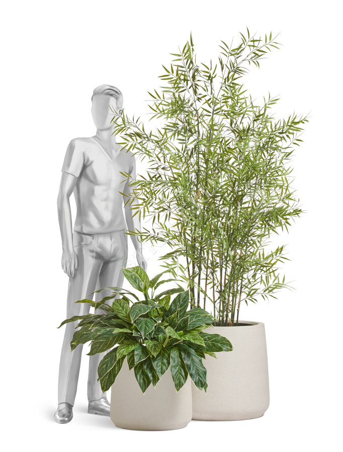 Сет № 112 - Композиция с бамбуком в кашпо Treez Effectory Fine Rock фото