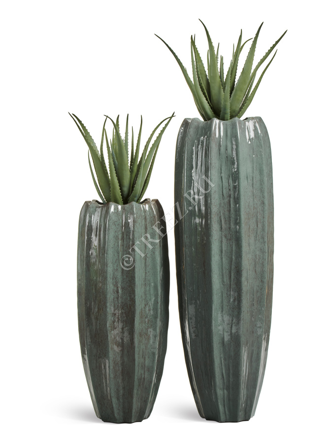 Сет № 116 - Композиция с алоэ в кашпо Treez Effectory Aura фото