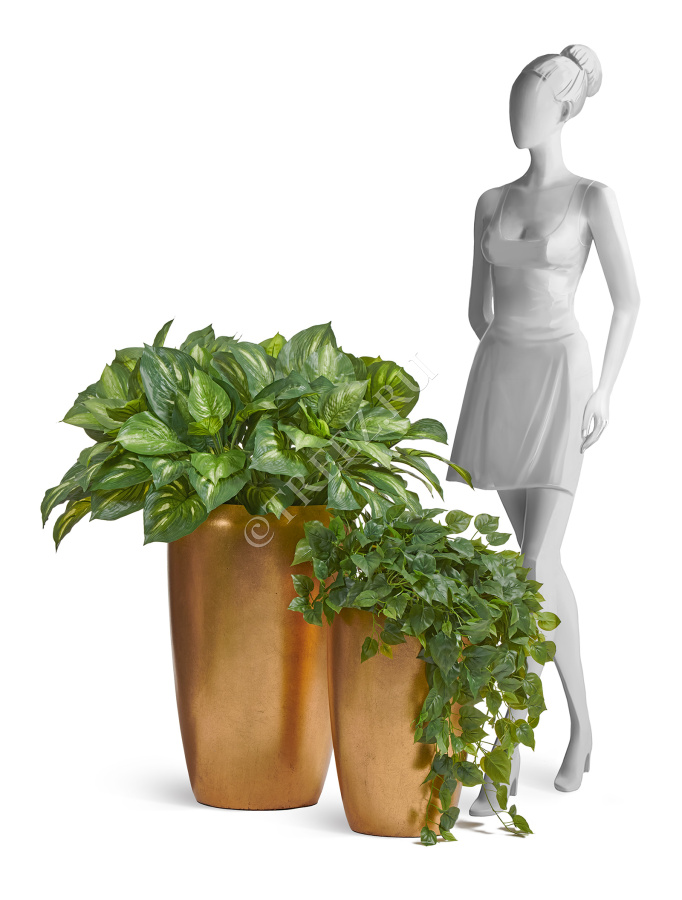 Сет № 127 - Композиция с хостами и филодендроном в золотых кашпо Treez Effectory Metal фото