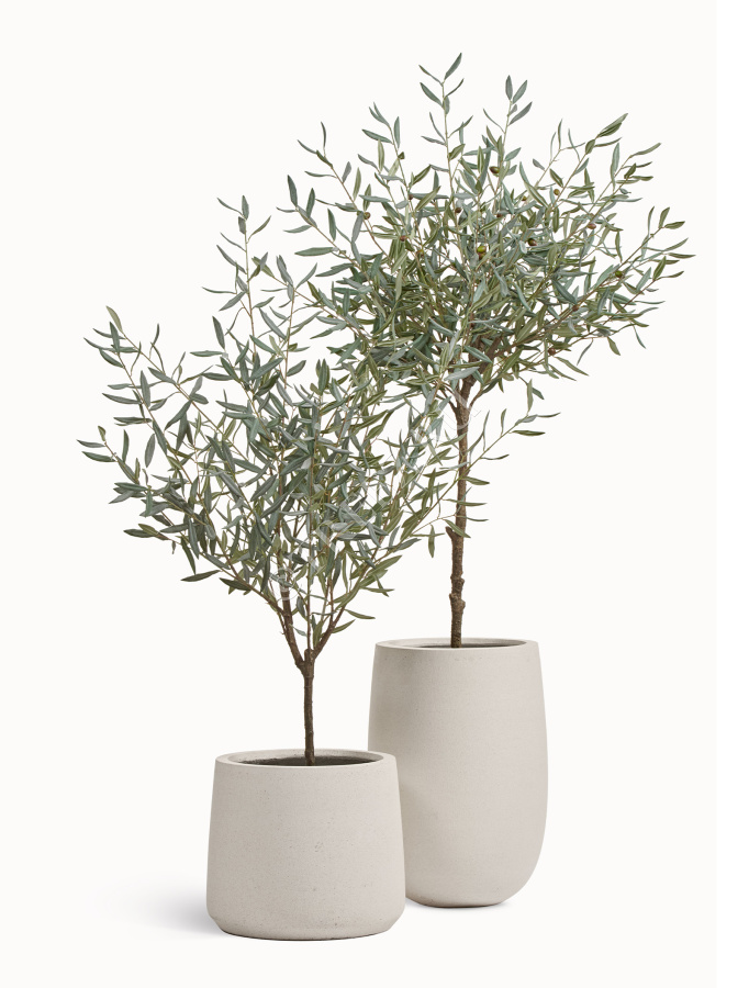 Сет № 130 - Композиция с оливами Prime в кашпо Treez Effectory Fine Rock фото