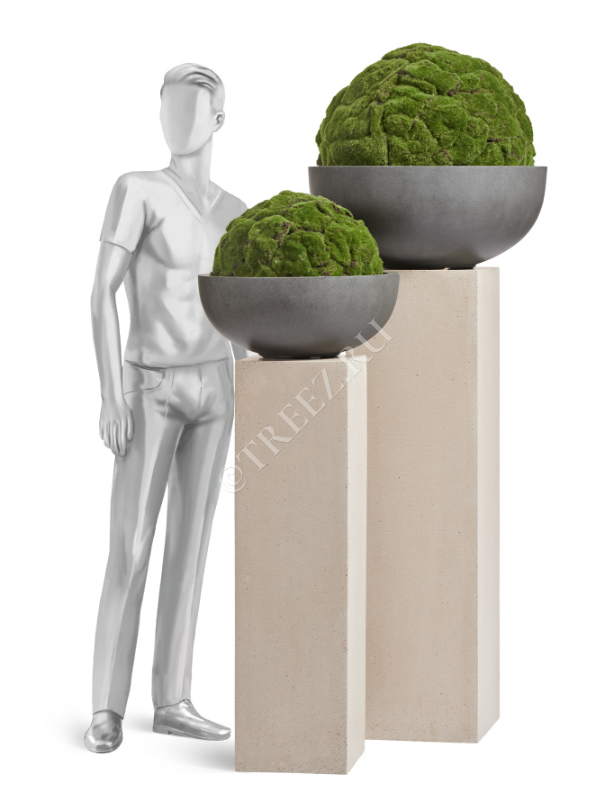 Сет № 132 - Композиция на колоннах в кашпо Treez Effectory Beton фото