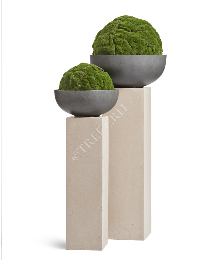 Сет № 132 - Композиция на колоннах в кашпо Treez Effectory Beton фото