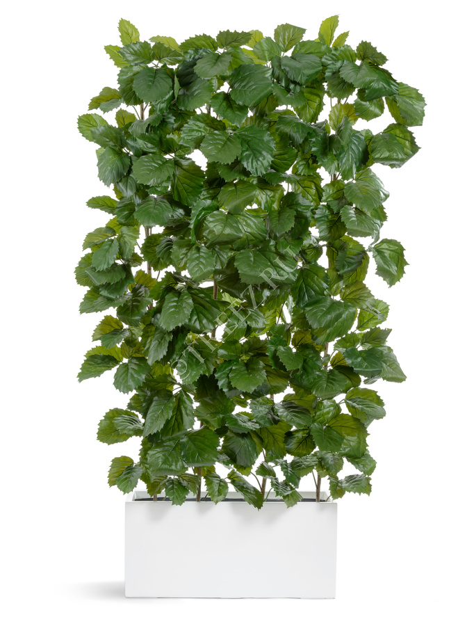 Сет № 135 - Композиция с тетрастигмой в кашпо Treez Effectory Gloss фото