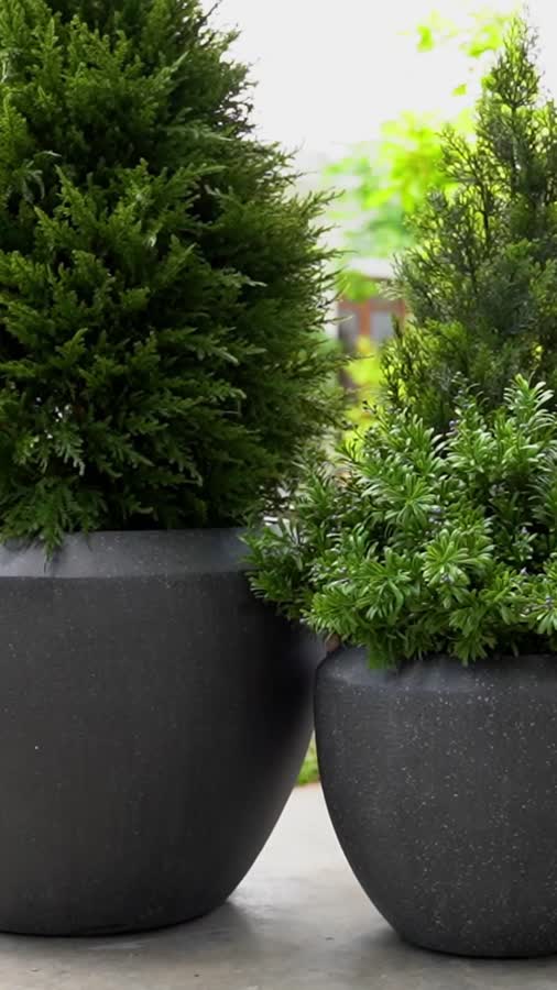 Кашпо TREEZ Effectory - Quartz - Чаша Design - Чёрный кварц фото