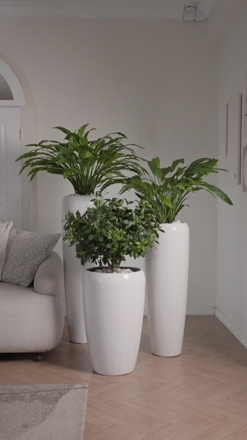 Сет № 46 - Композиция с Калатеями и Питтоспорумом в кашпо Treez Effectory Gloss фото