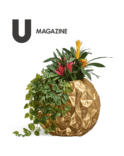 Кашпо TREEZ Effectory — в подборке U Magazine!